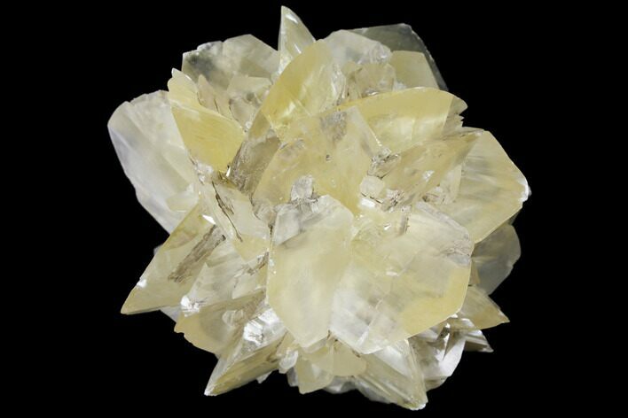 2.45" Twinned Selenite Crystals (Fluorescent) - Red River Floodway